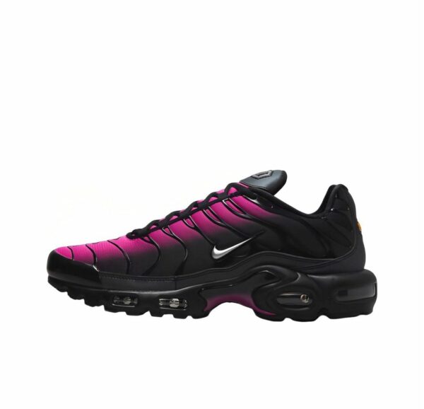 Nike Air Max Plus  FJ5481 010